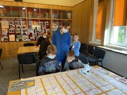 IMG 5187