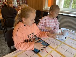 IMG 5191